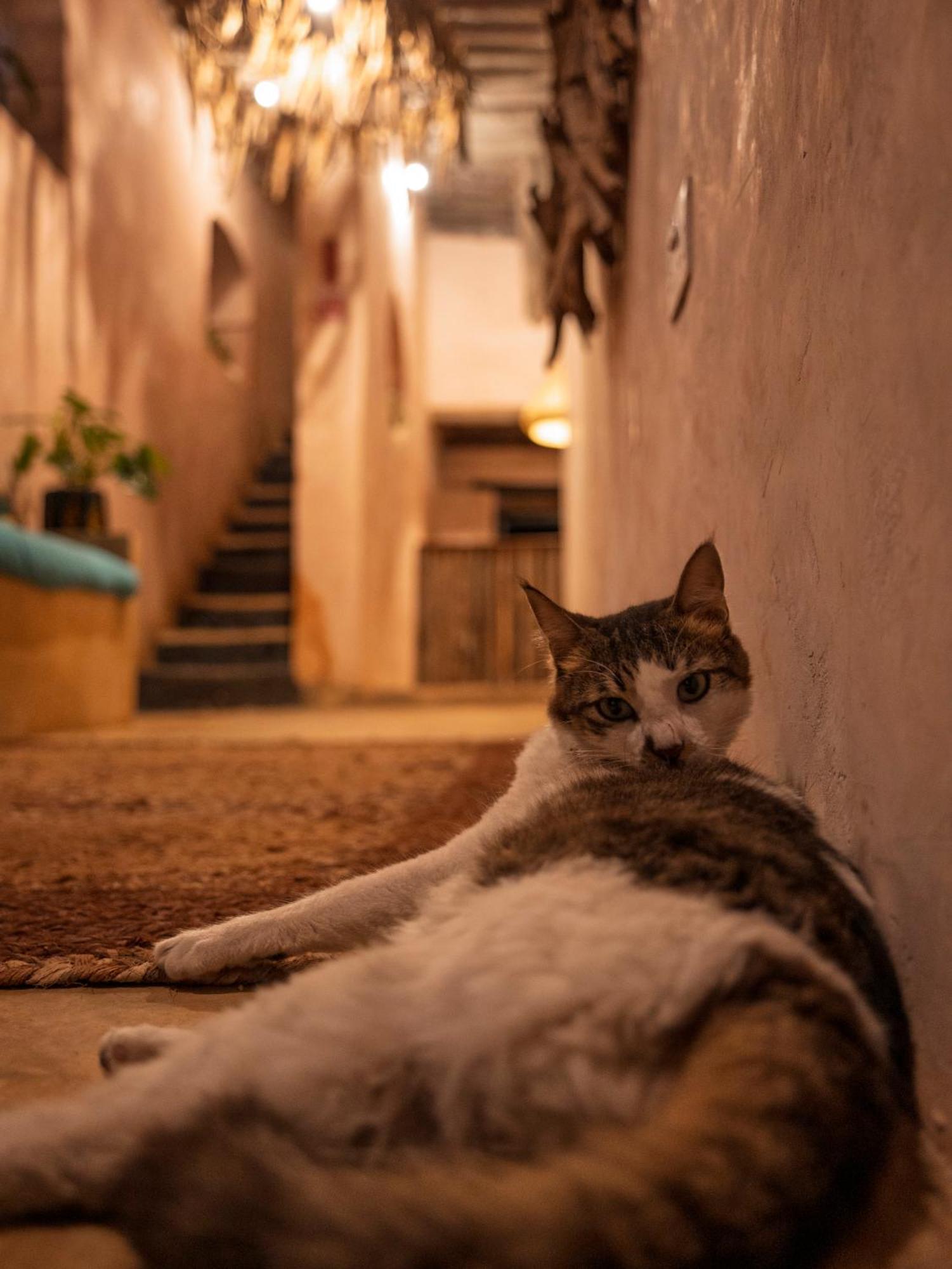 Firefly Boutique Hotel Zanzibar Zewnętrze zdjęcie